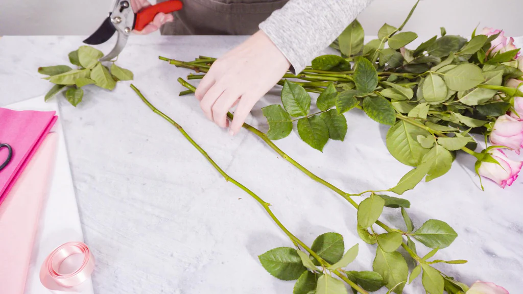 Removing leaves from flower stems that would sit below the waterline